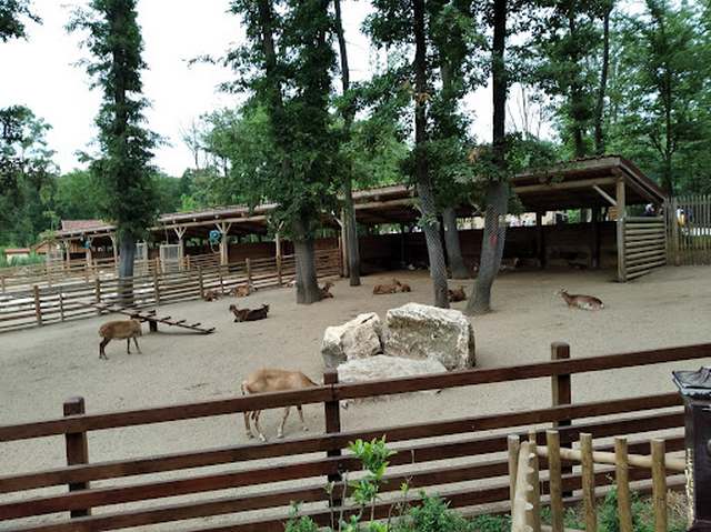 حديقة حيوانات الاطفال في ازميت