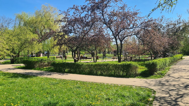 حديقة تشايكوفسكي 