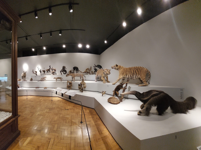 متحف جامعة ساو باولو لعلم الحيوان