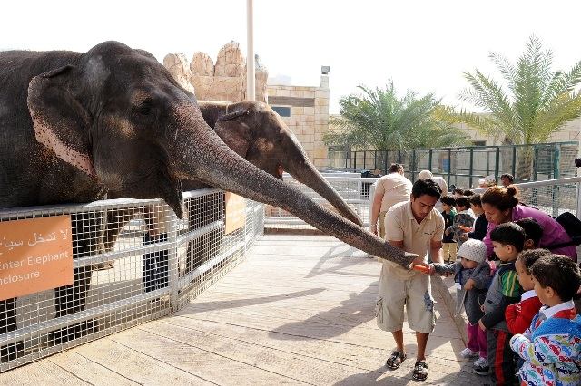 حديقة حيوانات أبوظبي تضم العديد من الفعاليات الترفيهية