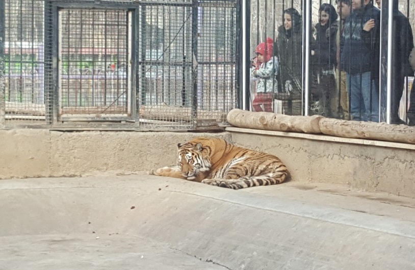 مدينة ملاهي ارم الترفيهية