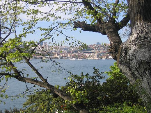 تمتزج الأشجار مع الأزهار في حديقة فتحي باشا اسطنبول لتكوين مكان رائع