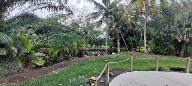 حديقة فلامنجو النباتية ميامي