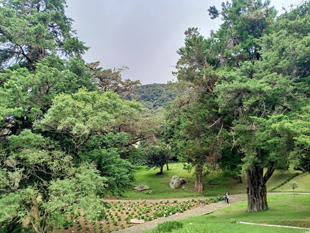 حدائق هاكغالا النباتية نوراليا
