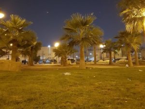 أفضل الأنشطة في حديقة حي الحمراء الرياض