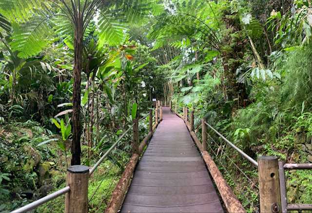 حديقة هاواي النباتية الاستوائية في هاواي
