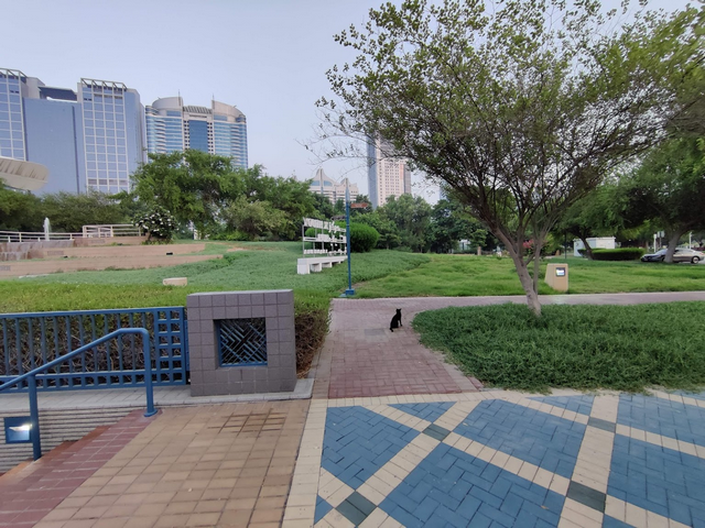 اجمل حدائق في ابوظبي