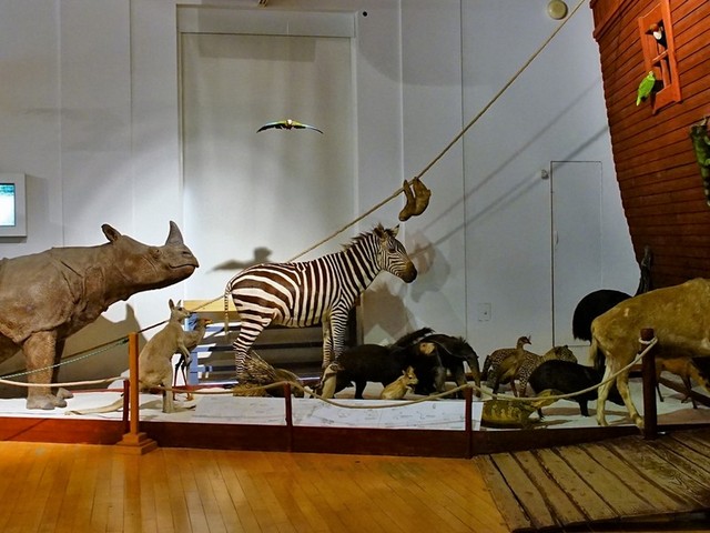 متحف التاريخ الطبيعي الهنغاري في بودابست
