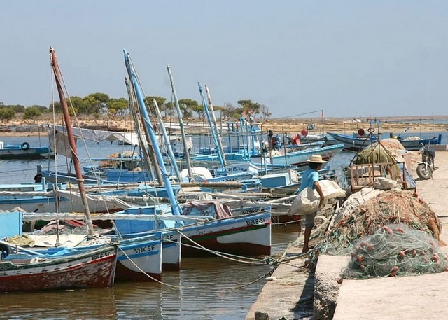جزيرة قرقنة تونس