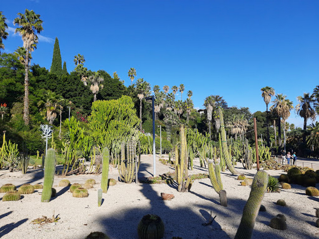 حدائق موسين كوستا اي لوبيرا في برشلونة