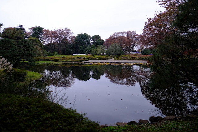  حديقة جينداي النباتية طوكيو