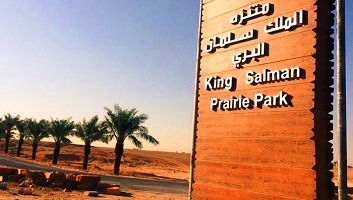 أفضل 7 أنشطة في منتزه الملك سلمان البري الرياض