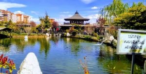افضل 10 انشطة في الحديقة اليابانية في قونيا