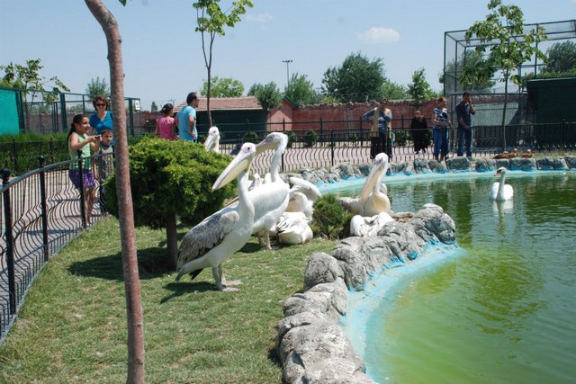 حديقة الحيوان في قونيا