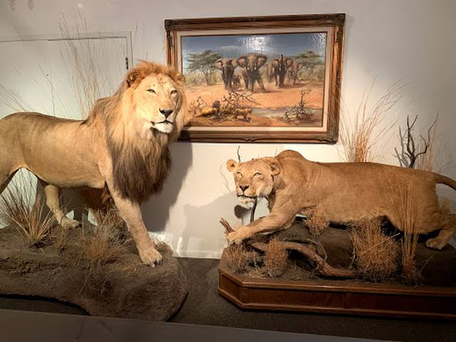 متحف لاس فيغاس للتاريخ الطبيعي