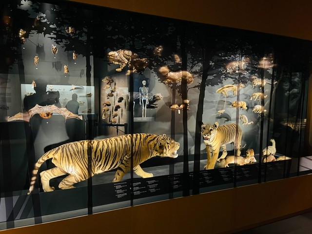 متحف لي كونغ تشيان للتاريخ الطبيعي سنغافورة