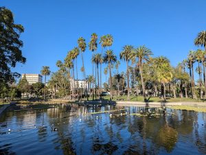 افضل 10 من حدائق لوس انجلوس ننصح بزيارتها