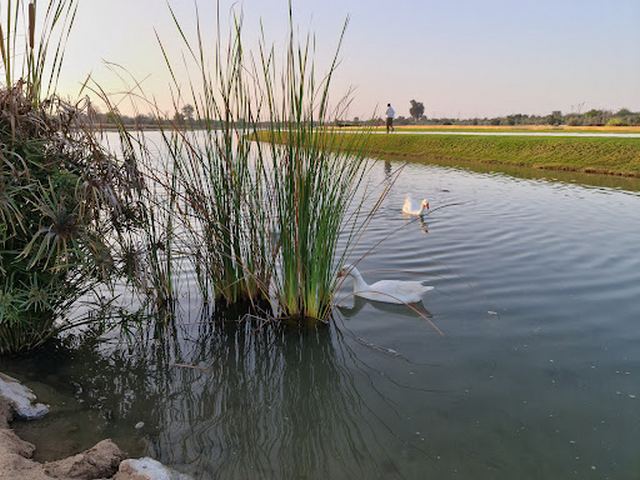 بحيرة الحب في دبي