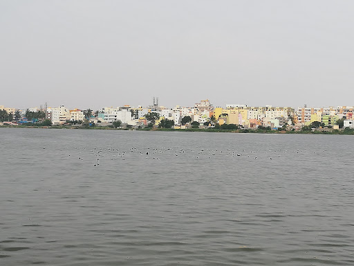 البحيرات في بنجلور