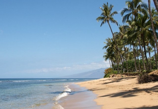 ماوي هاواي