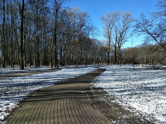 حديقة حقل موكوتوسكي وارسو