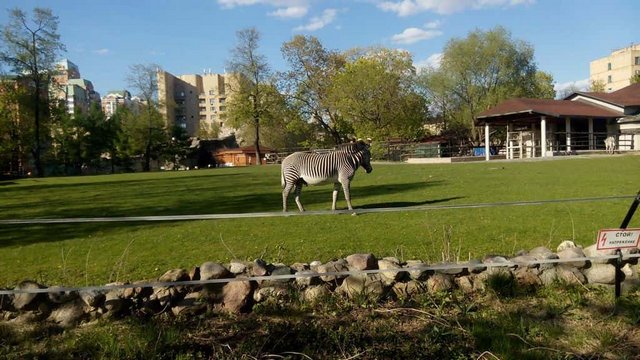 حديقة حيوانات موسكو من اشهر اماكن السياحة في روسيا