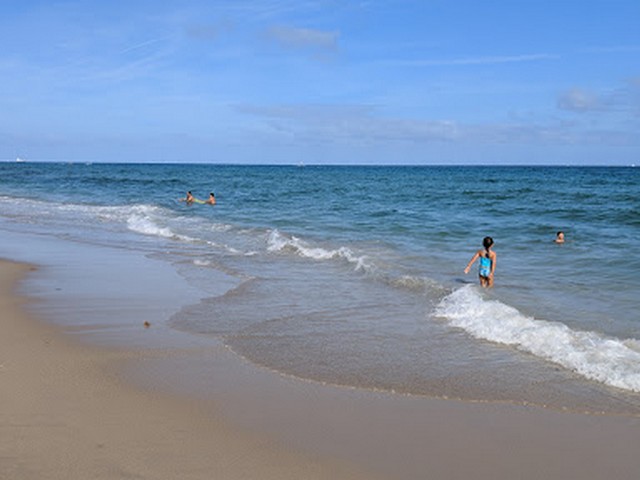شاطئ مونيكيبال في ويلينغتون