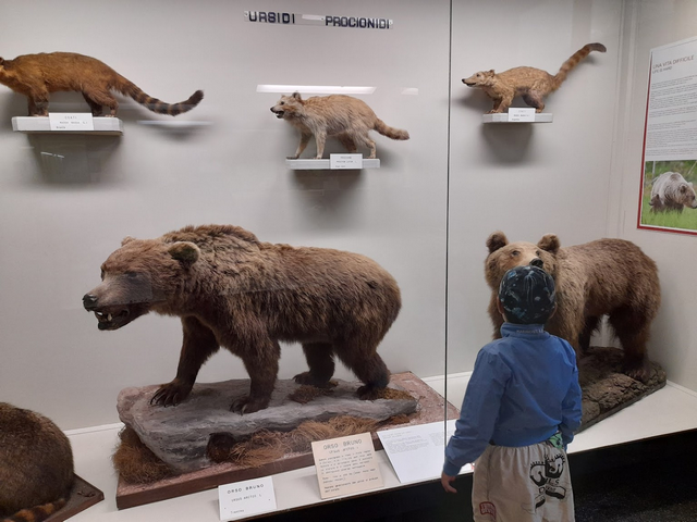 متحف جاكومو دوريا المدني للتاريخ الطبيعي في جنوا