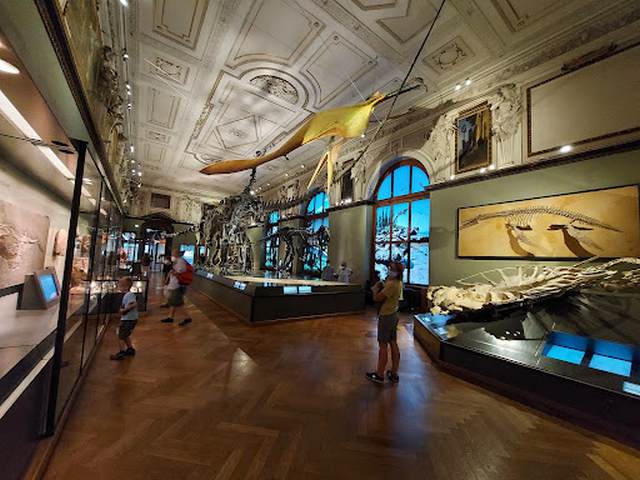متحف التاريخ الطبيعي فيينا 