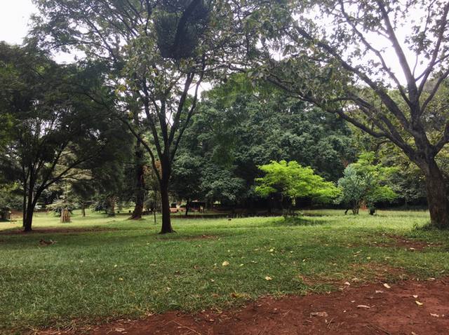 اجمل حدائق في نيروبي