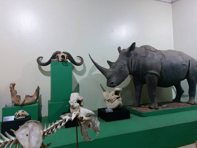 متحف كينيا الوطني في نيروبي