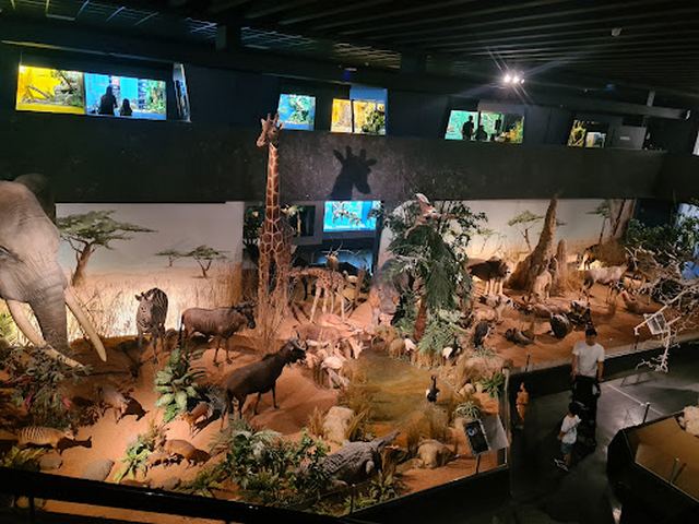 متحف التاريخ الطبيعي في جنيف