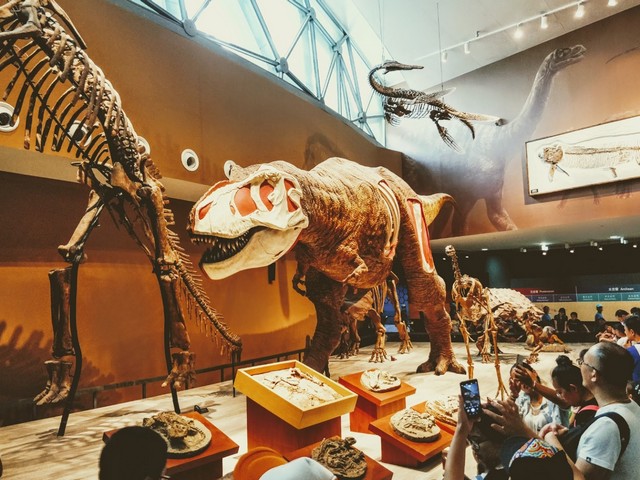 متحف التاريخ الطبيعي شنغهاي في شنغهاي