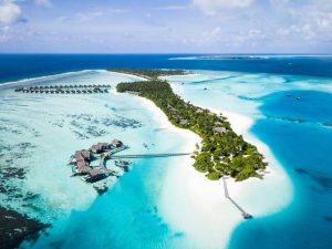 تقرير عن منتجع نياما المالديف