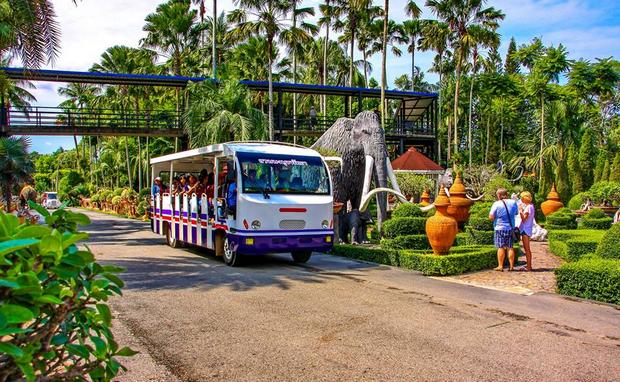حديقة نونغ نوش الاستوائية في تايلاند بتايا