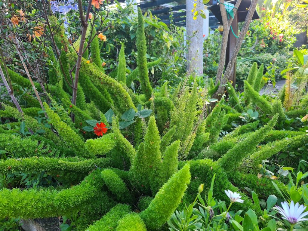 حديقة نباتات الأوركيد جزر الكناري