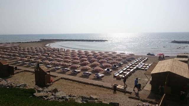 شاطئ النخيل الجزائر