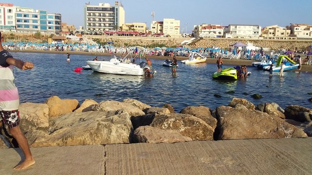 شاطئ النخيل في الجزائر