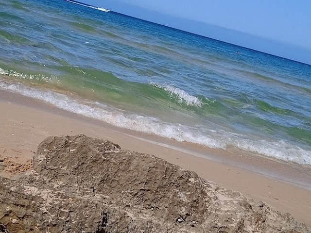 شاطئ بارادايس وهران