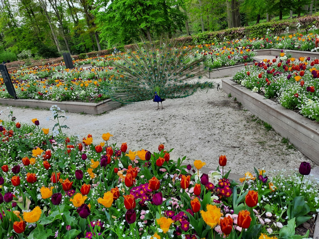 حديقة الزهور باريس