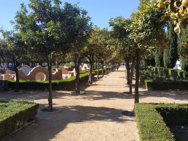 حديقة بيدرو لويس ألونسو في ملقا