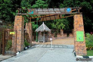افضل 8 انشطة في الحديقة الوطنية في بينانج