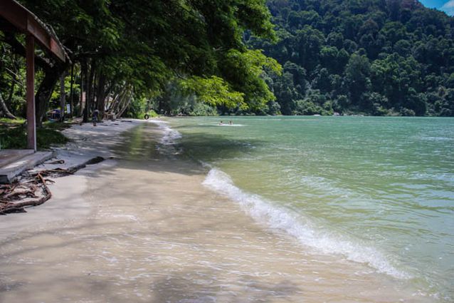 Penang National Park