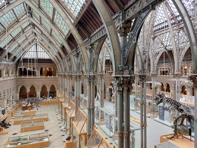 متحف بيت ريفرز في اكسفورد