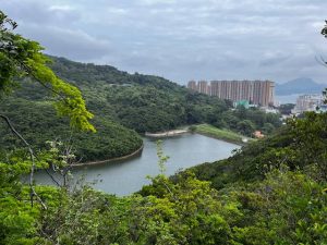 أفضل 3 أنشطة في منتزه بوك فو لام الريفي هونج كونج