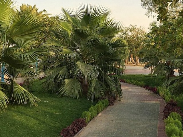 حديقه السويدي العامة في الرياض