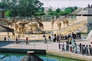 افضل 5 انشطة في حديقة الحيوان قطر