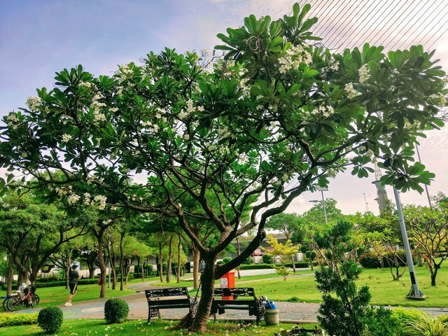 اجمل الحدائق في بانكوك