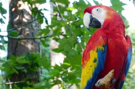 حديقة الحيوانات ريو دي جانيرو من افضل حدائق الحيوانات في البرازيل