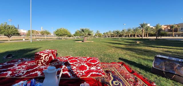 حديقة تلال في الرياض